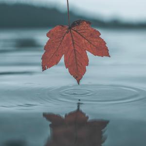 男男高肉H广播剧mp3
